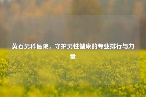 黄石男科医院，守护男性健康的专业排行与力量