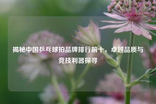 揭秘中国乒乓球拍品牌排行前十，卓越品质与竞技利器探寻