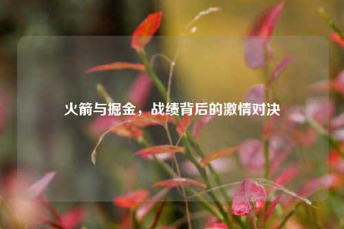 火箭与掘金，战绩背后的激情对决