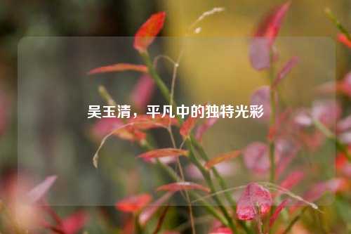吴玉清，平凡中的独特光彩