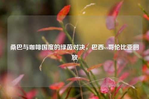 桑巴与咖啡国度的绿茵对决，巴西vs哥伦比亚回放