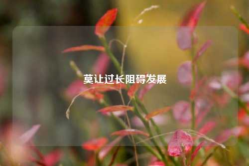 莫让过长阻碍发展