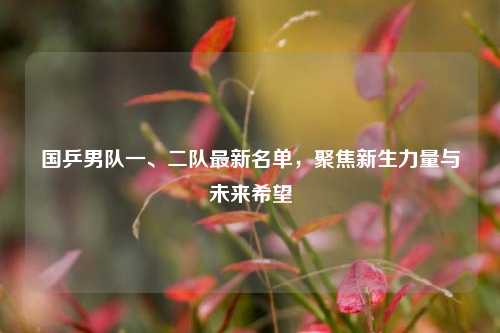 国乒男队一、二队最新名单，聚焦新生力量与未来希望