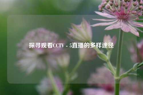 探寻观看CCTV - 5直播的多样途径