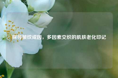 探寻皱纹成因，多因素交织的肌肤老化印记