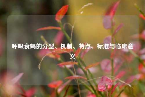 呼吸衰竭的分型、机制、特点、标准与临床意义