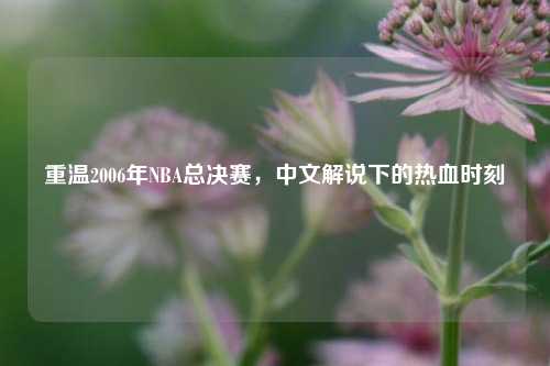 重温2006年NBA总决赛，中文解说下的热血时刻