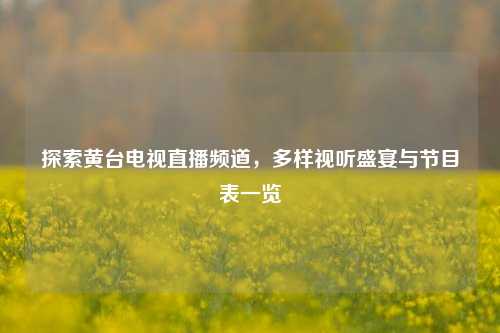 探索黄台电视直播频道，多样视听盛宴与节目表一览