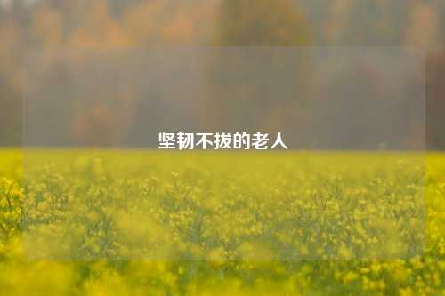 坚韧不拔的老人