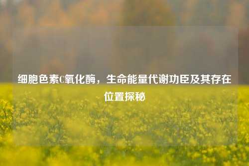 细胞色素C氧化酶，生命能量代谢功臣及其存在位置探秘