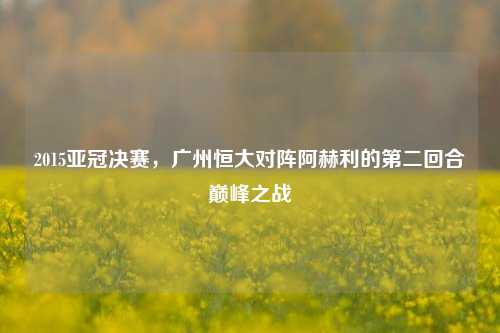 2015亚冠决赛，广州恒大对阵阿赫利的第二回合巅峰之战