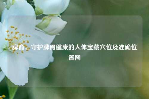 脾俞，守护脾胃健康的人体宝藏穴位及准确位置图