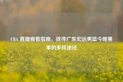 CBA 直播观看指南，找寻广东宏远男篮今晚赛事的多样途径