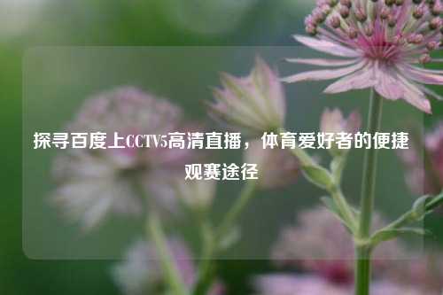 探寻百度上CCTV5高清直播，体育爱好者的便捷观赛途径