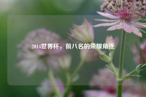 2014世界杯，前八名的荣耀角逐