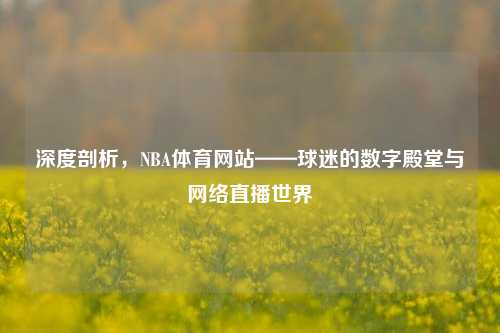 深度剖析，NBA体育网站——球迷的数字殿堂与网络直播世界