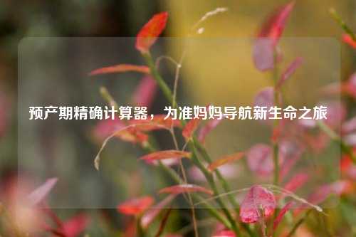 预产期精确计算器，为准妈妈导航新生命之旅