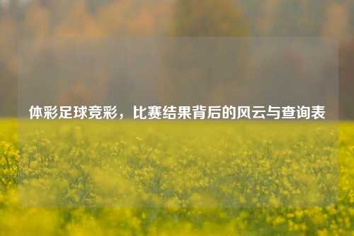 体彩足球竞彩，比赛结果背后的风云与查询表
