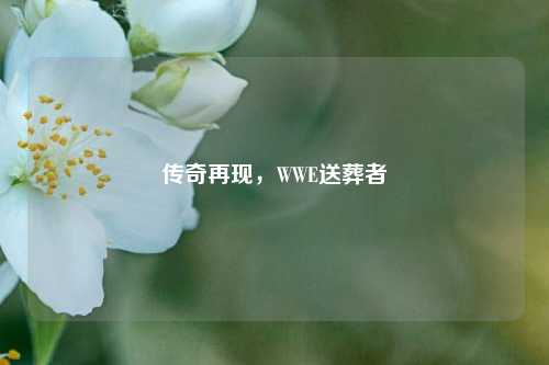传奇再现，WWE送葬者