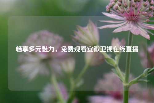 畅享多元魅力，免费观看安徽卫视在线直播