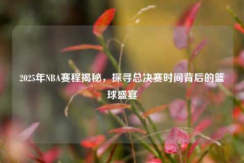 2025年NBA赛程揭秘，探寻总决赛时间背后的篮球盛宴