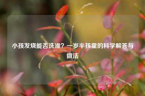 小孩发烧能否洗澡？一岁半孩童的科学解答与做法