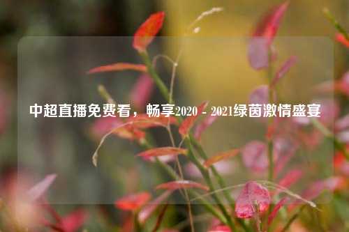 中超直播免费看，畅享2020 - 2021绿茵激情盛宴