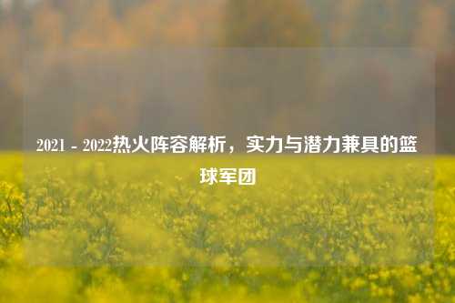 2021 - 2022热火阵容解析，实力与潜力兼具的篮球军团