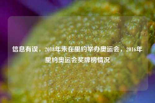 信息有误，2018年未在里约举办奥运会，2016年里约奥运会奖牌榜情况