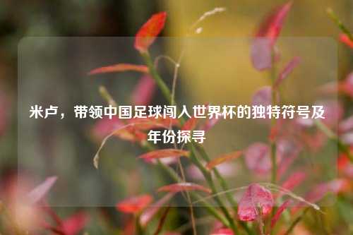 米卢，带领中国足球闯入世界杯的独特符号及年份探寻