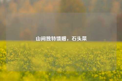 山间独特馈赠，石头菜