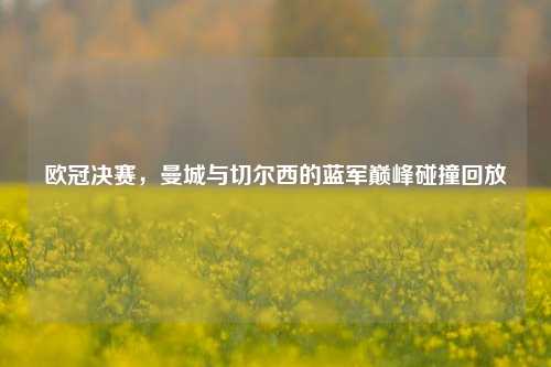 欧冠决赛，曼城与切尔西的蓝军巅峰碰撞回放