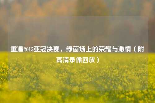 重温2015亚冠决赛，绿茵场上的荣耀与激情（附高清录像回放）