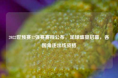 2022世预赛12强赛赛程公布，足球盛宴启幕，各国角逐出线资格