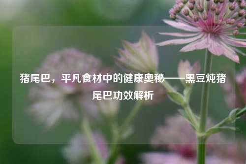 猪尾巴，平凡食材中的健康奥秘——黑豆炖猪尾巴功效解析