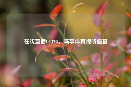 在线直播CCTV5，畅享体育视听盛宴