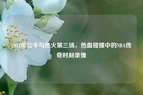 2011年公牛与热火第三场，热血碰撞中的NBA传奇时刻录像