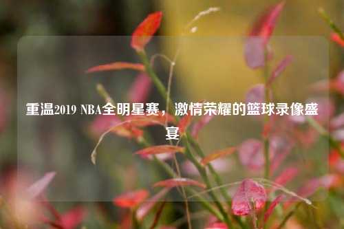 重温2019 NBA全明星赛，激情荣耀的篮球录像盛宴