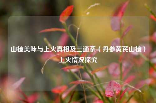 山楂美味与上火真相及三通茶（丹参黄芪山楂）上火情况探究