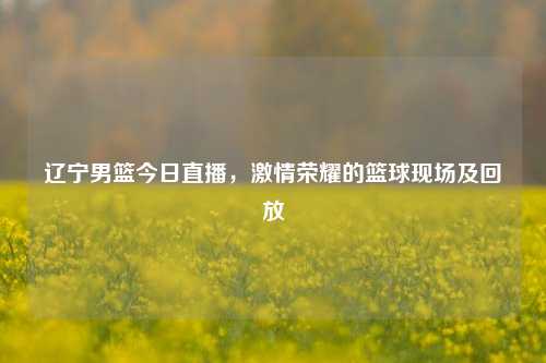 辽宁男篮今日直播，激情荣耀的篮球现场及回放