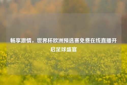 畅享激情，世界杯欧洲预选赛免费在线直播开启足球盛宴