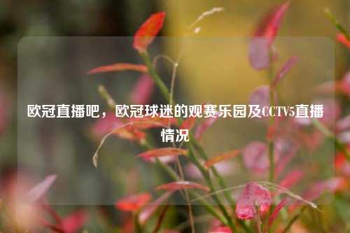 欧冠直播吧，欧冠球迷的观赛乐园及CCTV5直播情况