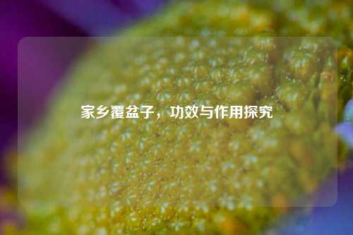 家乡覆盆子，功效与作用探究