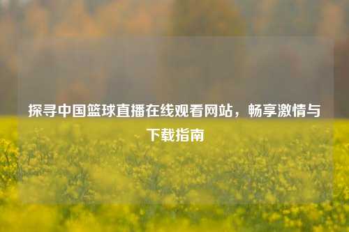 探寻中国篮球直播在线观看网站，畅享激情与下载指南