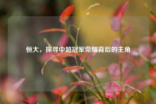 恒大，探寻中超冠军荣耀背后的主角