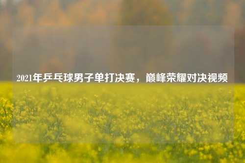 2021年乒乓球男子单打决赛，巅峰荣耀对决视频