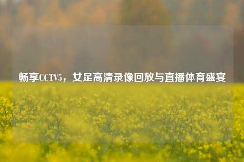 畅享CCTV5，女足高清录像回放与直播体育盛宴