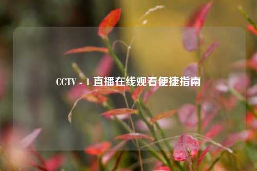 CCTV - 1 直播在线观看便捷指南