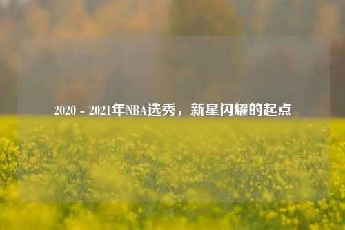 2020 - 2021年NBA选秀，新星闪耀的起点
