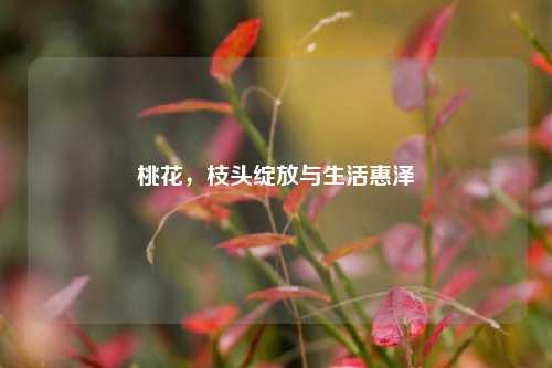 桃花，枝头绽放与生活惠泽